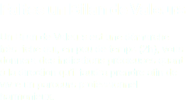 Faites un Bilan de Valeurs Un Bilan de Valeurs est une démarche très riche qui, en peu de temps (2h), vous donnera des indications précieuses quant à la direction qu’il faudra prendre afin de vivre un parcours professionnel harmonieux.