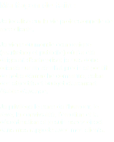 Ma façon de faire Je focalise sur la vie professionnelle de mes clients. Je viens du monde économique (marketing et publicité) où j’ai été dirigeant d’entreprise: je suis donc orienté sur un résultat précis et positif de notre démarche commune, selon des objectifs et budget clairement établis d’avance. Je privilège le sens de l'humour, le rêve, la convivialité, l’émotion et la décontraction et je suis assez direct dans mes rapports avec mes clients. 